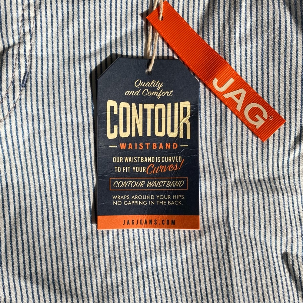 Jag Counter Girlfriend Jeans in Railroad Pinstripe Bleach-Wash Size 22W NWT - Picture 10 of 16